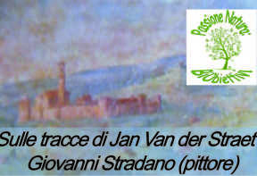 stradano-r