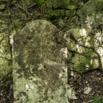 cimitero-di-albiano-montemurlo-11-r