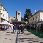 immagine-whatsapp-2024-11-10-ore-12-34-26_04cb6be3